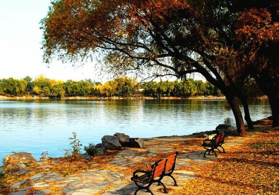 6. Le parc Yuyuantan, situé dans le district pékinois de Haidian