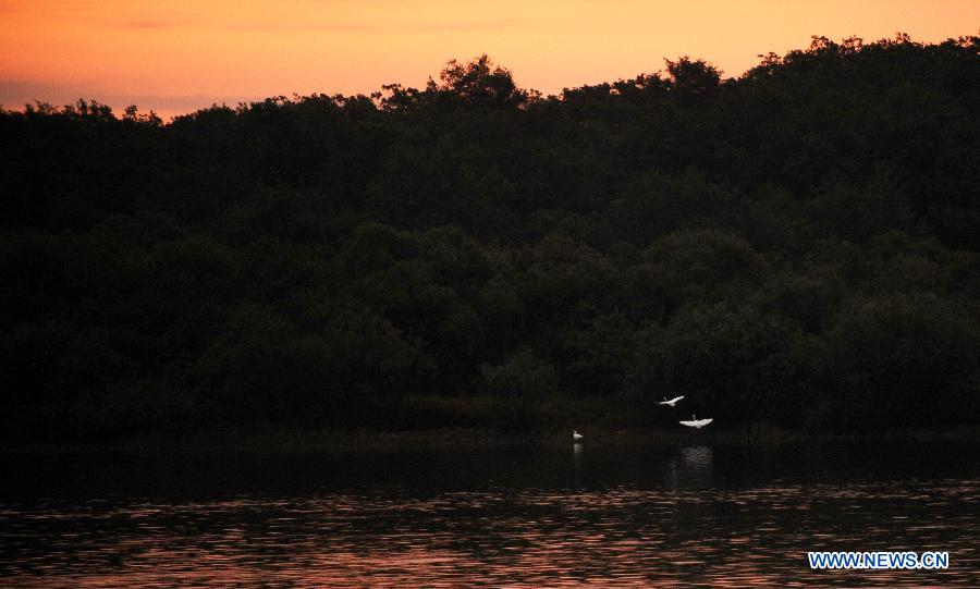 Lever de soleil sur la rivière Wusuli