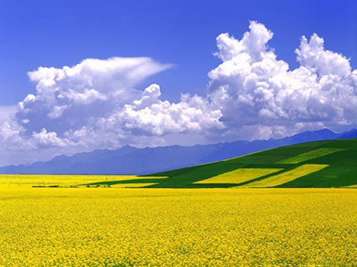 La Vallée des fleurs du Mont Qingling