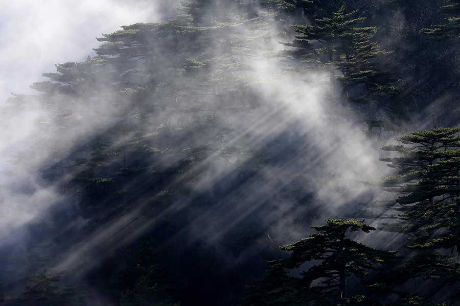 La beauté de Huangshan en début d'hiver