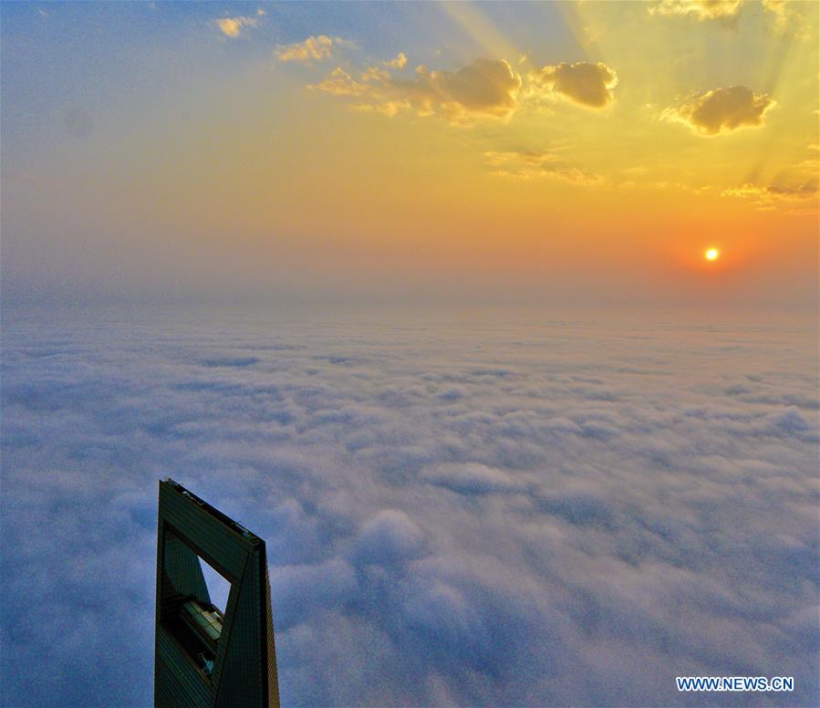 Shanghai : les gratte-ciel emblématiques au-dessus des nuages