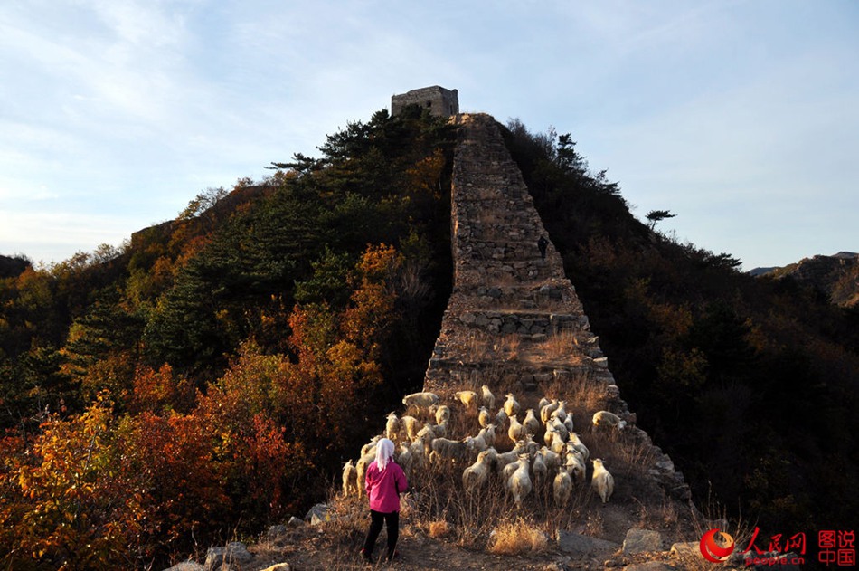 Fin d’automne sur la Grande Muraille 