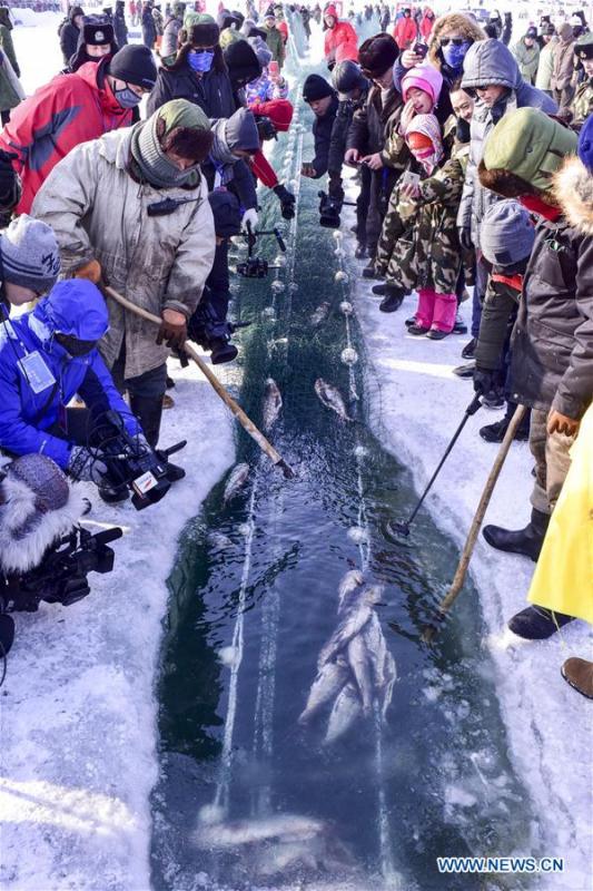 Grande récolte de la pêche hivernale