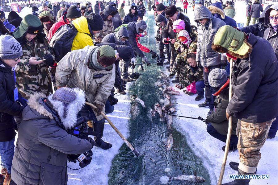 Grande récolte de la pêche hivernale