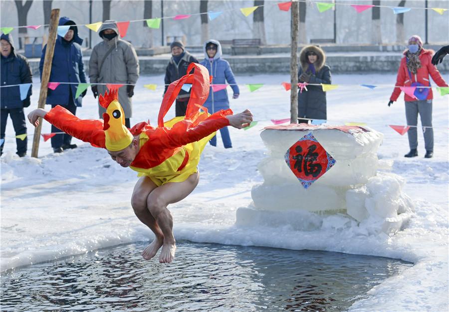 Nage hivernale pour célébrer l'année du coq