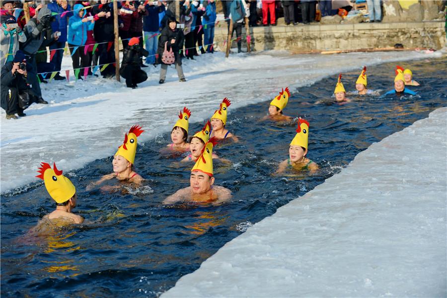 Nage hivernale pour célébrer l'année du coq