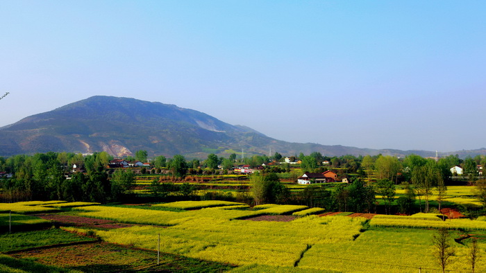 La plus belle mer de fleurs de colza de Chine – Le Festival du Tourisme et de la Culture du Hanzhong