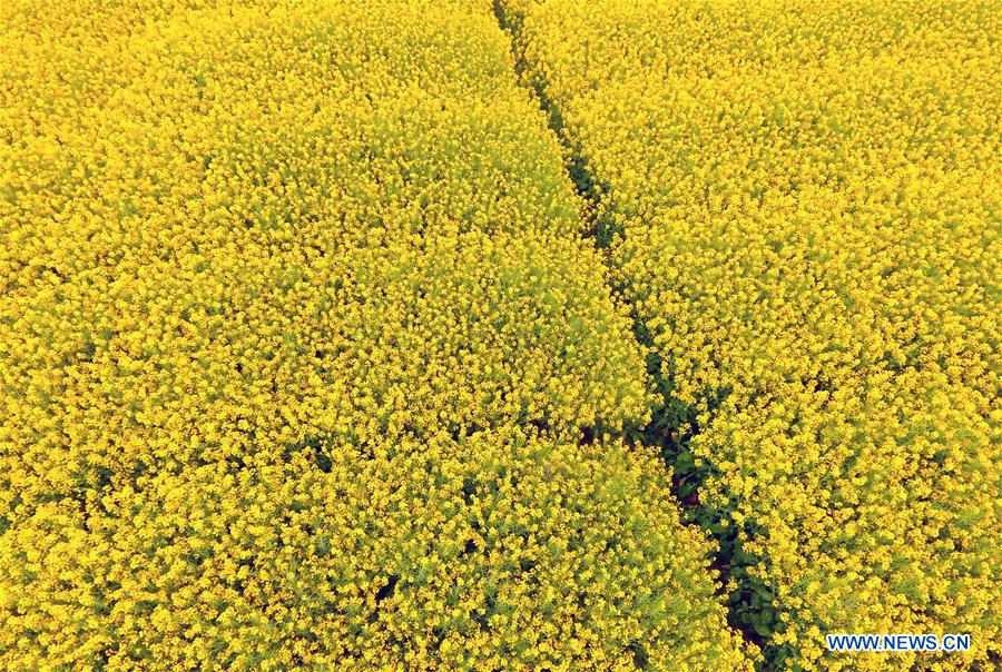 Paysage rural dans le sud-ouest de la Chine