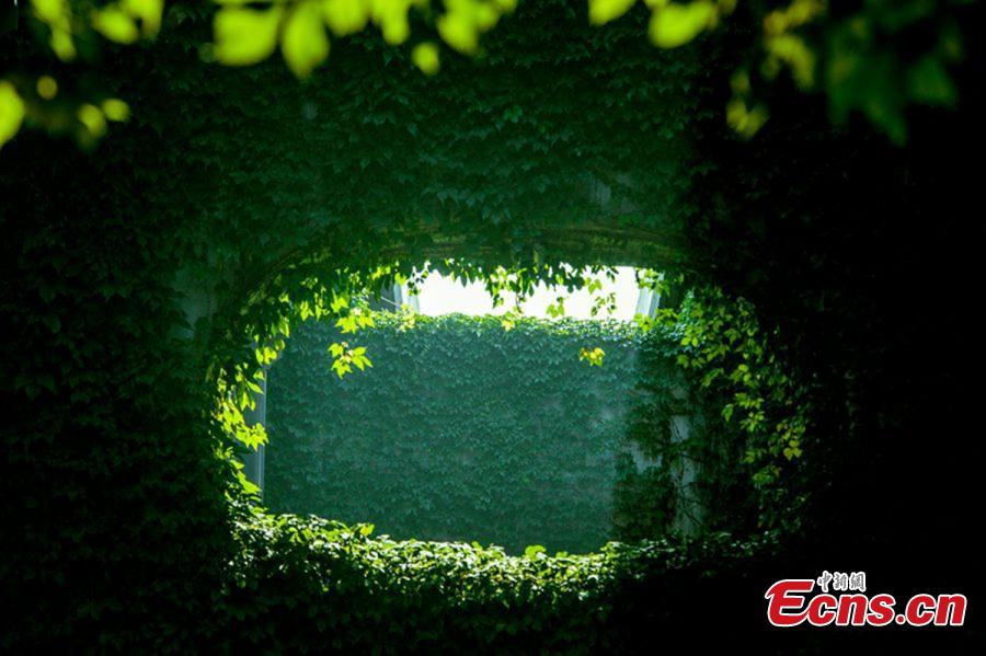 Un pont vert à Chengdu