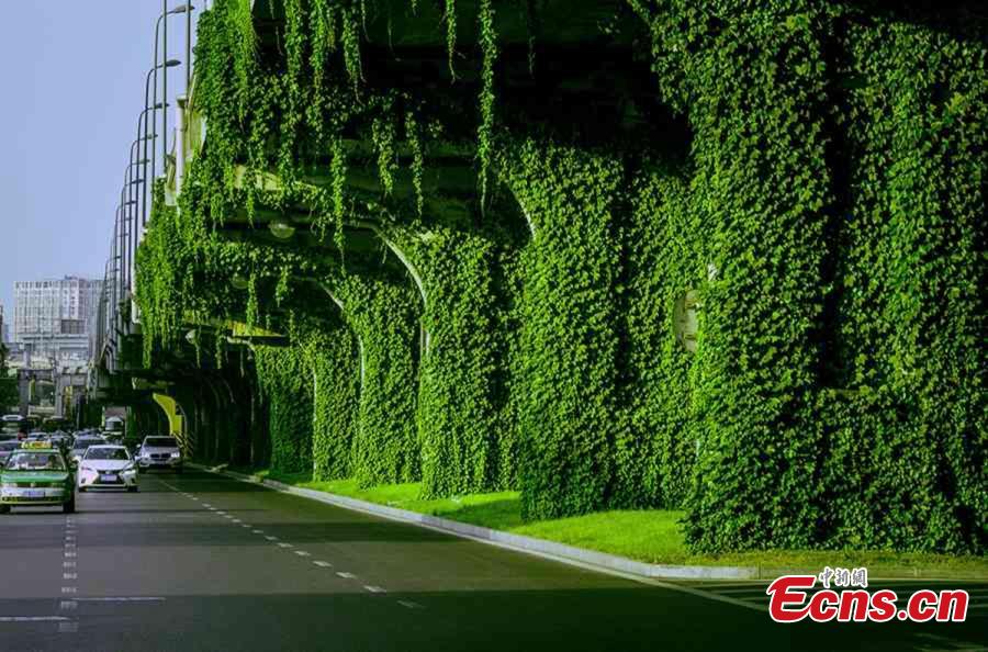 Un pont vert à Chengdu