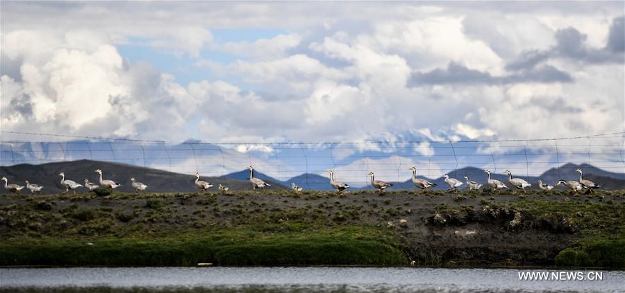 Tibet : splendides paysages du lac Yamzobog Yumco 