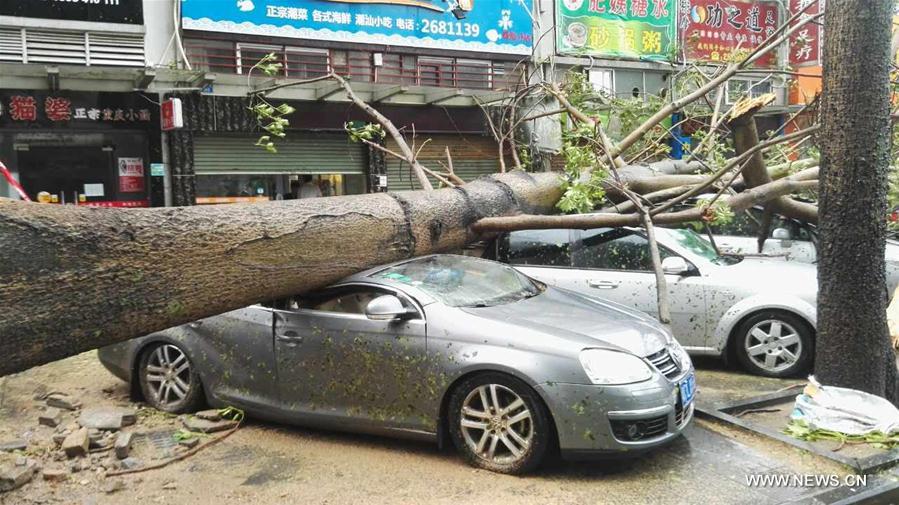 Le typhon Hato a touché terre dans le sud de la Chine