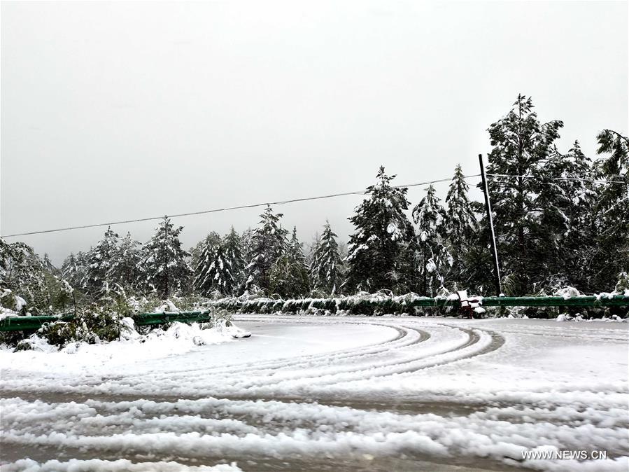 Premières neiges de l'automne dans le nord-est de la Chine