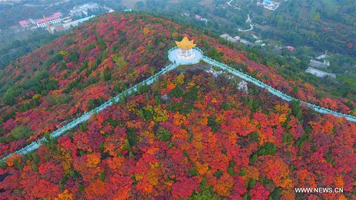 La Chine et ses magnifiques paysages 