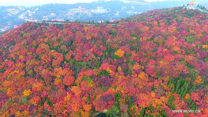 La Chine et ses magnifiques paysages 