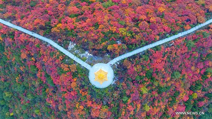 La Chine et ses magnifiques paysages 