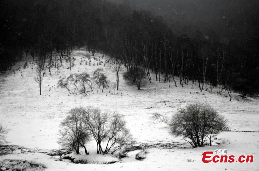 Vues de paysages enneigés dans l'Ouest de la Chine