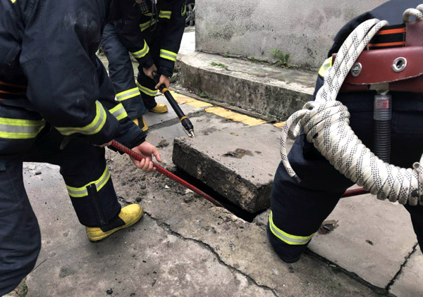 Un chat de gouttière libéré après avoir passé 5 ans dans un tunnel recouvert de béton