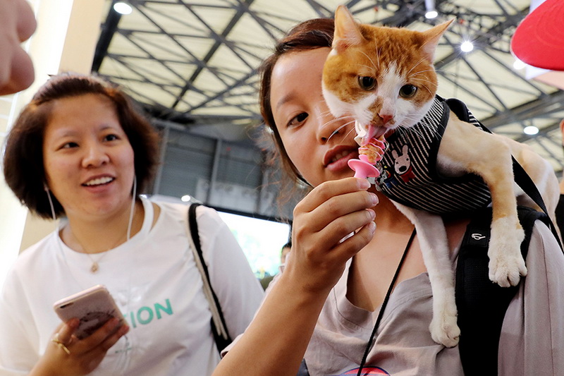 Ouverture du Salon des animaux de compagnie à Shanghai