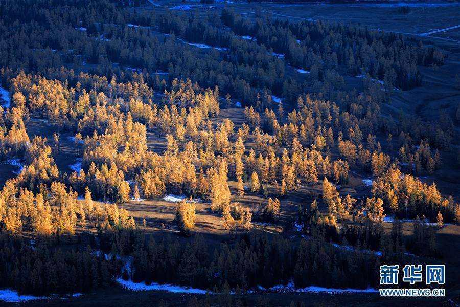 Xinjiang : prendre la route n'a jamais été aussi agréable