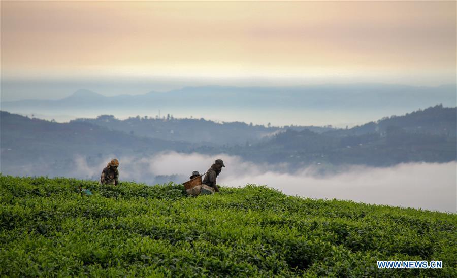 De beaux paysages d'Afrique