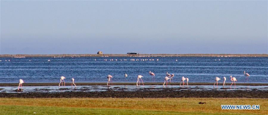 De beaux paysages d'Afrique