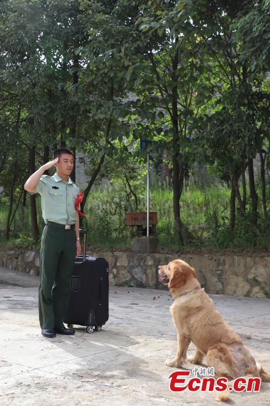 Il est toujours difficile de dire au revoir à un chien policier