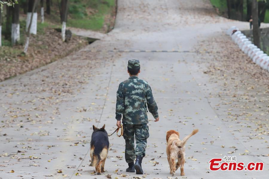 Il est toujours difficile de dire au revoir à un chien policier