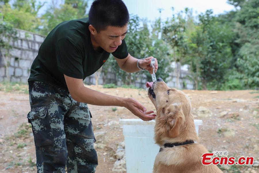 Il est toujours difficile de dire au revoir à un chien policier