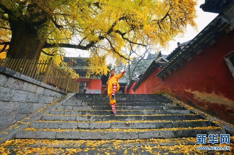 Paysages d'automne au Temple de Shaolin