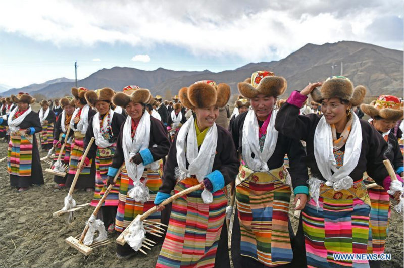 Tibet : une cérémonie pour marquer les débuts des labours de printemps