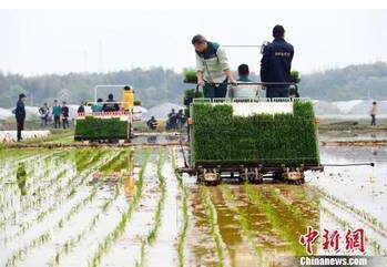 Le revenu salarial est le facteur de contribution le plus grand chez les agriculteurs