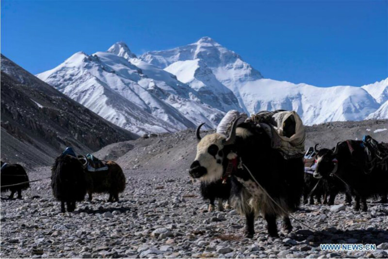 Les camps de base de la face nord de l'Everest