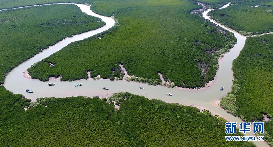 Hainan dévoile une liste négative pour interdire la fabrication bas de gamme