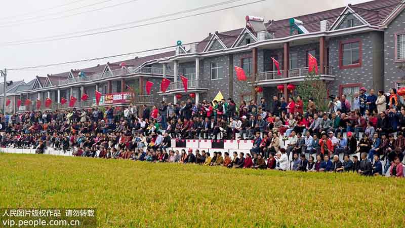 Xicun dans le sud de la province de l'Anhui : une scène aux champs