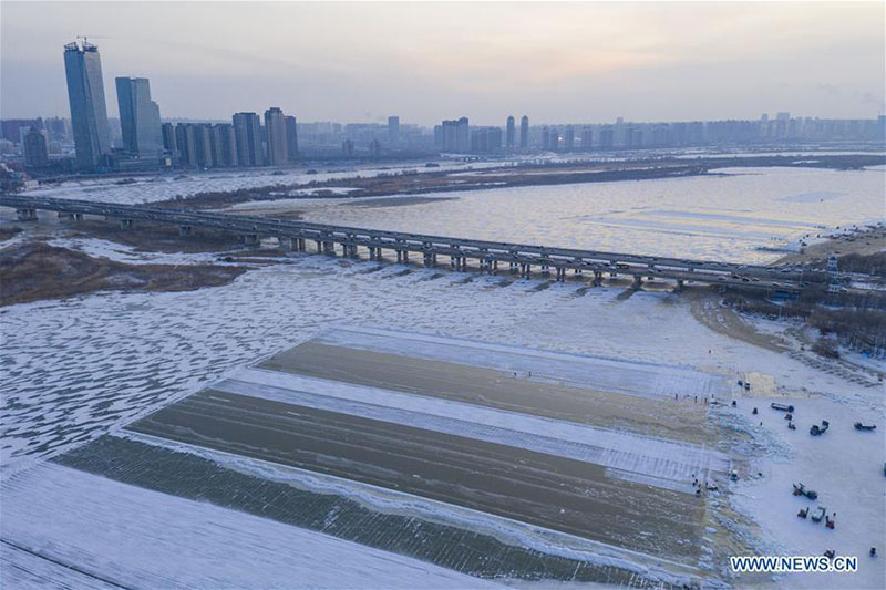 Heilongjiang : la collecte des cubes de glace dans la Rivière Songhua gelée