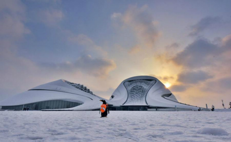 Un manchot danse avec un ? cygne ? russe au Grand Théatre de Harbin