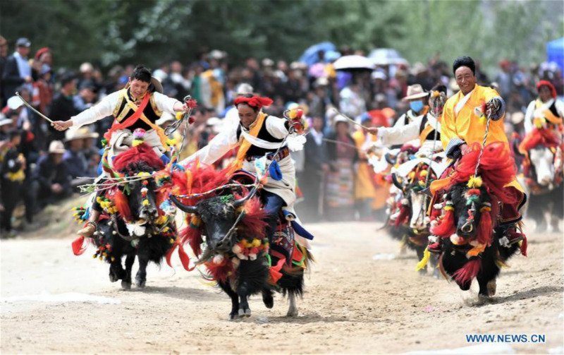 La vie quotidienne et les réalisations en matière de développement social au Tibet en 2019