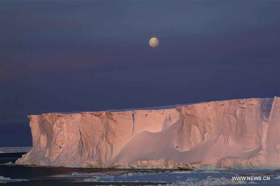 Antarctique : icebergs lors de la 36e expédition chinoise