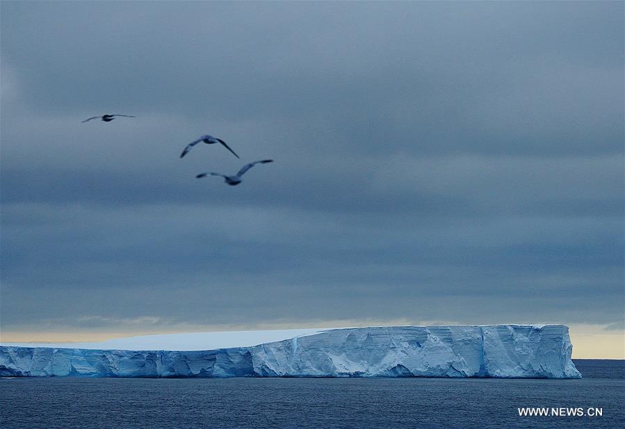 Antarctique : icebergs lors de la 36e expédition chinoise