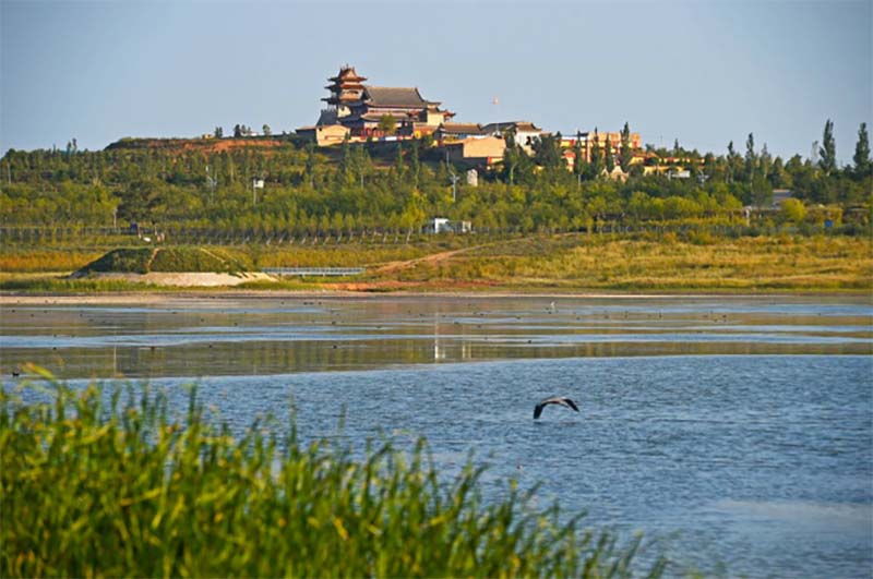 Dans le comté de Yanchi dans la province du Ningxia en Chine, les zones humides émergent au milieu du désert