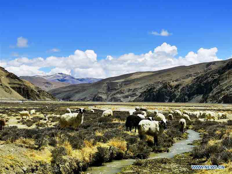 Paysages de la réserve naturelle nationale du mont Qomolangma