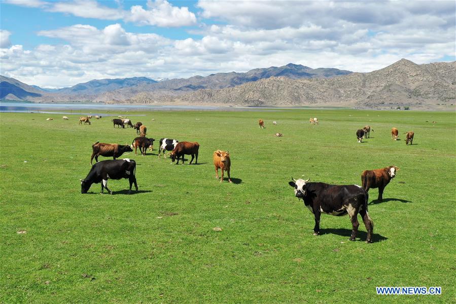 Chine : géoparc pittoresque au Xinjiang