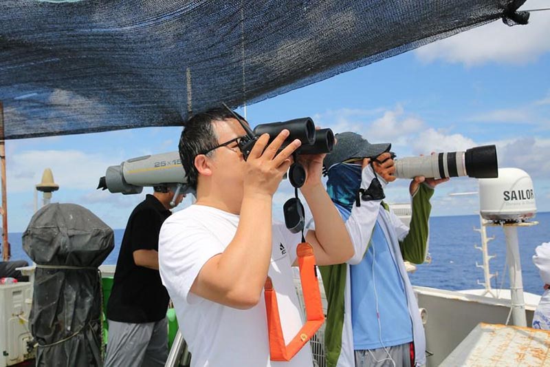 Des chercheurs chinois repèrent 11 espèces de baleines dans une expédition en haute mer