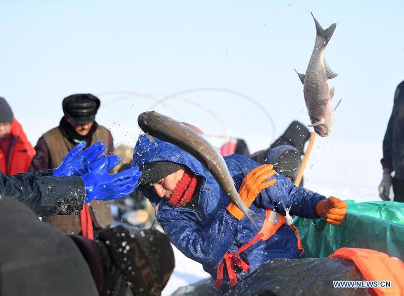 La pêche hivernale dans la région autonome ou?ghoure du Xinjiang