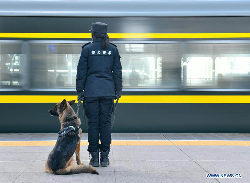 Les chiens policiers rejoignent les patrouilles dans les gares pour assurer la sécurité des passagers