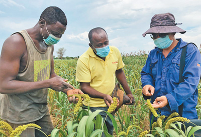 Un nouveau chapitre s'ouvre dans la coopération agricole entre le Burkina Faso et la Chine