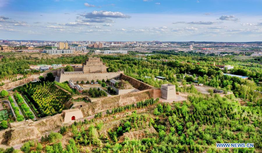 La Chine a planté 6,77 millions d'hectares d'arbres l'année dernière