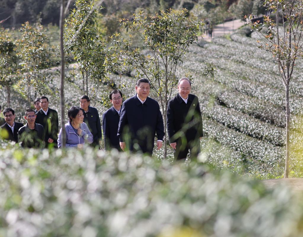 Xi Jinping souligne l'importance de redoubler d'efforts pour servir et s'intégrer dans le nouveau paradigme de développement