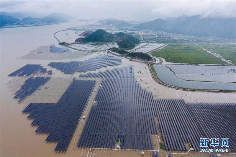 Zhejiang: la convergence de la pêche et de l'énergie photovolta?que se développe sur une grande vasière